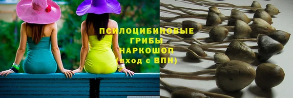 марки lsd Каменка
