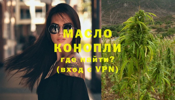 МДПВ Каменногорск