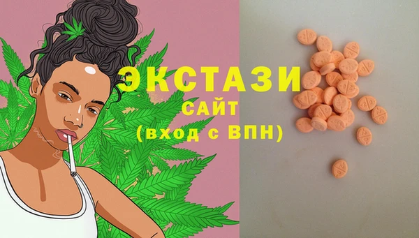 МДПВ Каменногорск