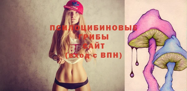 прущий лед Каменск-Шахтинский